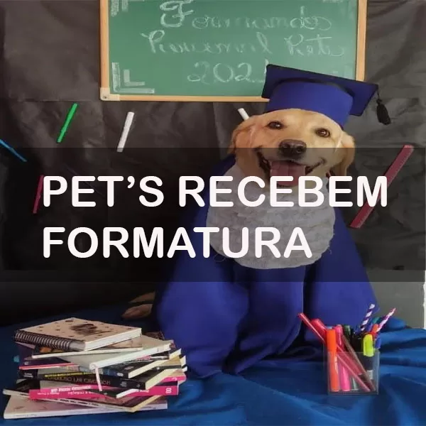 Pet Shop S Viralizam Boletim E Formatura Para Pets Fatos Curiosos