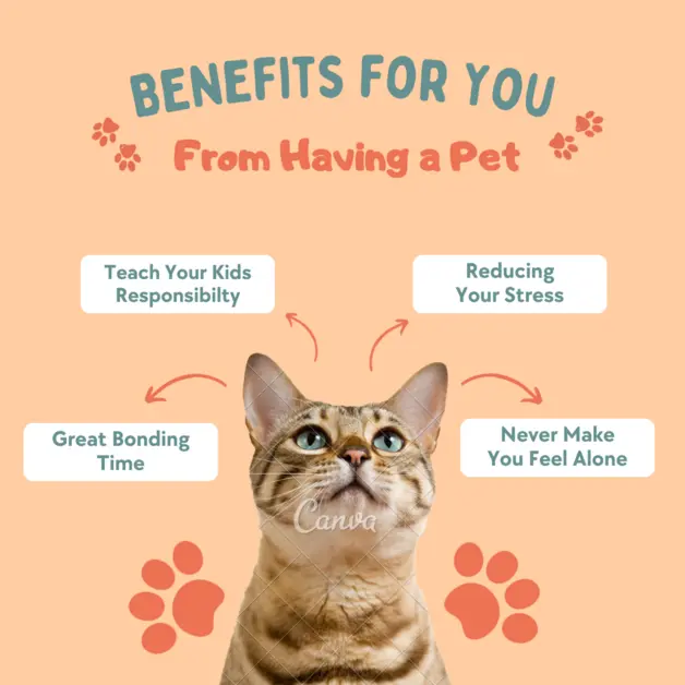 The Benefits of Pet Ownership - Fun Facts