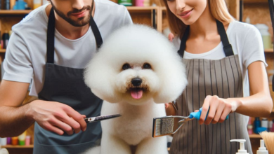 Why You Should Leave Your Pet with Dog Groomers